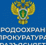 Повышены штрафные санкции за нарушение правил пожарной безопасности в лесах - Зеленчукский район